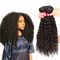 Krullend Textuur Braziliaans 7A Maagdelijk Haar, de Natte en Golvende Maagdelijke Uitbreiding van Haarbundels leverancier