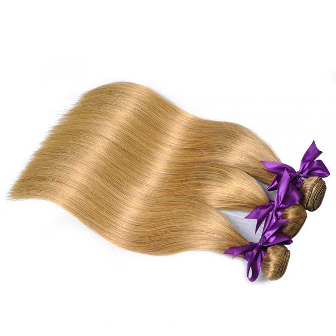 De gekleurde Braziliaanse Ombre-Uitbreiding van het de Kleuren Rechte Maagdelijke Haar van het Haarweefsel Weft #27