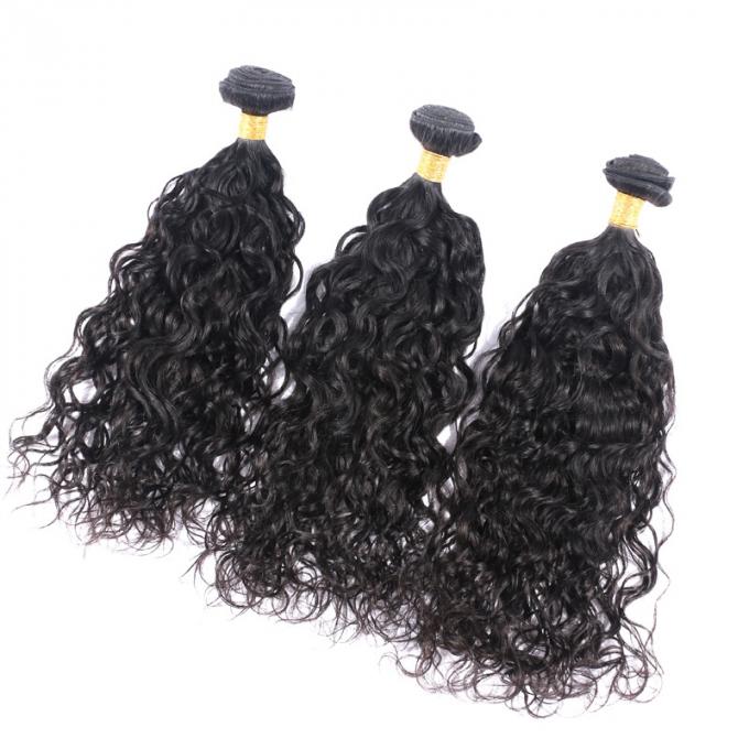 100 het Onverwerkte Braziliaanse Menselijke Haar van de Watergolf, Natuurlijke Zwarte Krullende Haarbundels 