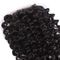 Braziliaanse Kroezige Krullende 4x4-Maagdelijke het Haarbundels van de Kantsluiting voor Zwarte leverancier