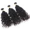100 het Onverwerkte Braziliaanse Menselijke Haar van de Watergolf, Natuurlijke Zwarte Krullende Haarbundels  leverancier