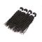 10 Maagdelijke Peruviaanse Krullende het Haarbundels van de bundelspartij voor Vrouwen 12“ -“ Lengte 24 leverancier